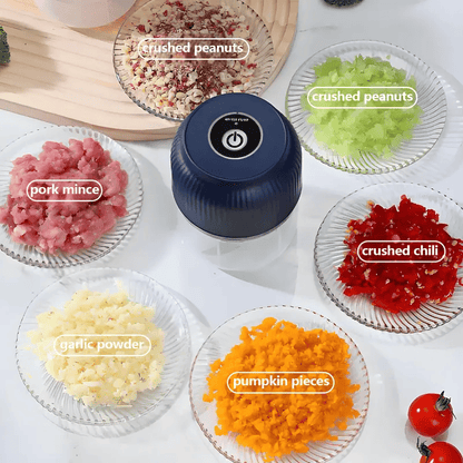 💥 49% OFF✨Electric Garlic Chopper